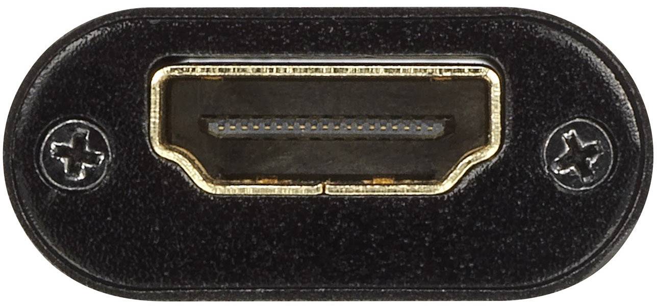 SpeaKa Professional HDMI® Repeater über Signalkabel 40m