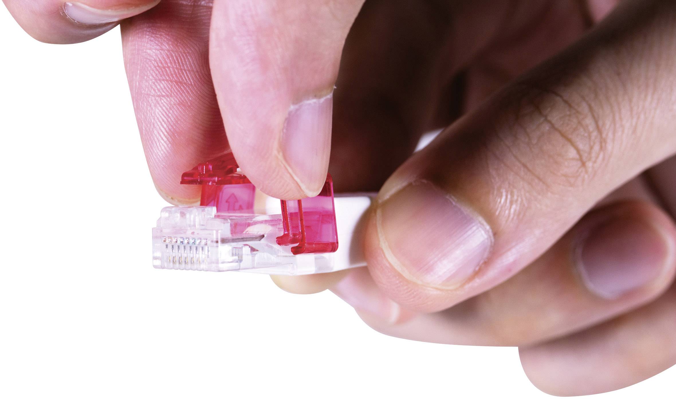 Renkforce Rastnasen-Reparaturclip für Netzwerkkabel RF-NW-RC RF-4998135 50St.