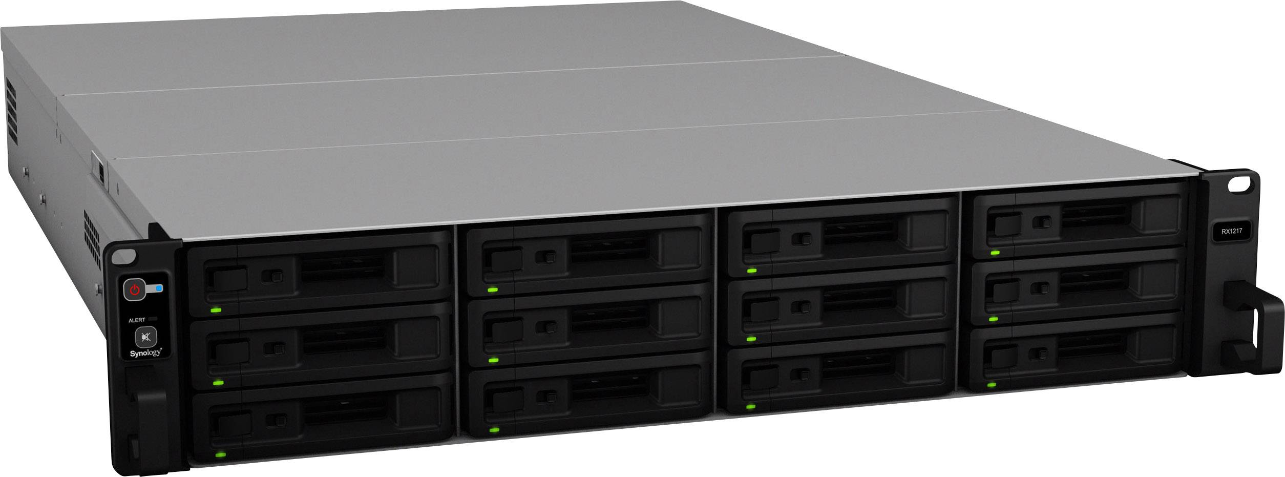 Synology NAS-Server Gehäuse 12 Bay RX1217