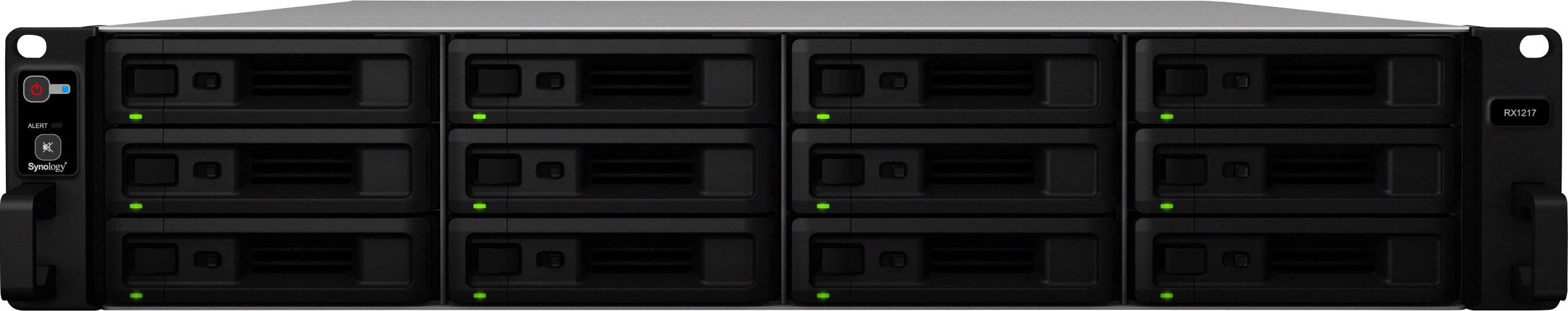Synology NAS-Server Gehäuse 12 Bay RX1217