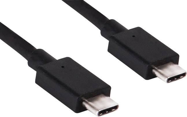 Zwei schwarze USB-C-Kabelstecker auf weißem Hintergrund.