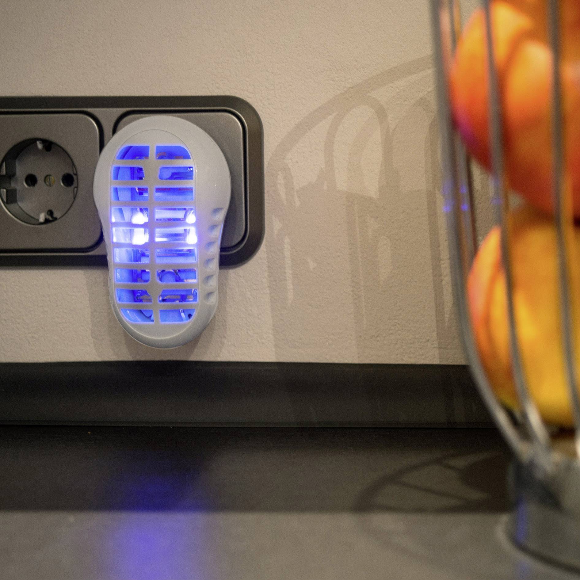 Gardigo UV-LED-Fruitvliegval 25143 UV-Insektenfänger UV-Licht, Stromgitter 1W (B x H x T) 60 x 95 x 85mm Weiß 1St.