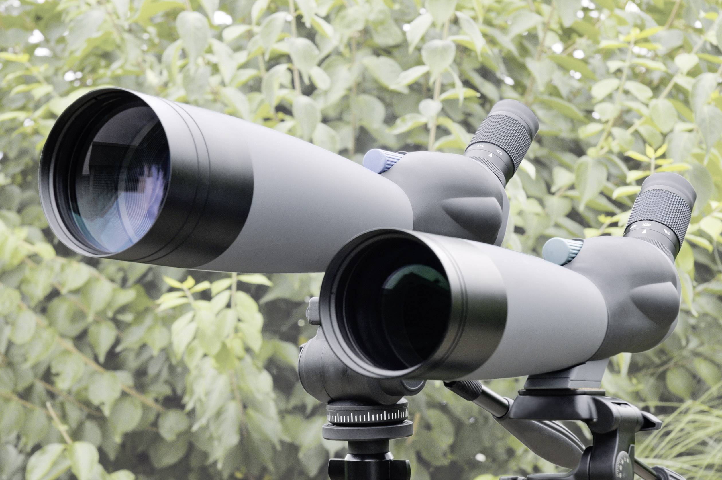 Danubia Rain Forest 20-60 x 80A Spektiv 20 <bis/> 60 x 80mm Schwarz, Grau