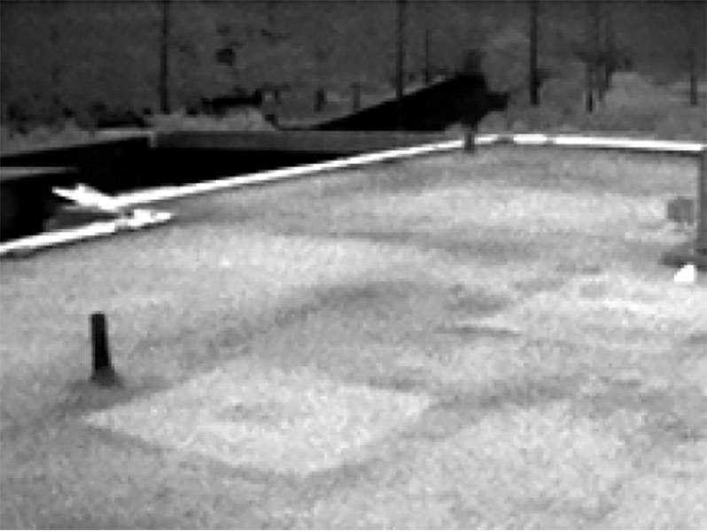 Seek Thermal RevealPRO FF Wärmebildkamera -40 bis +330 °C 320 x 240 Pixel 15 Hz Integrierte LED-Lampe