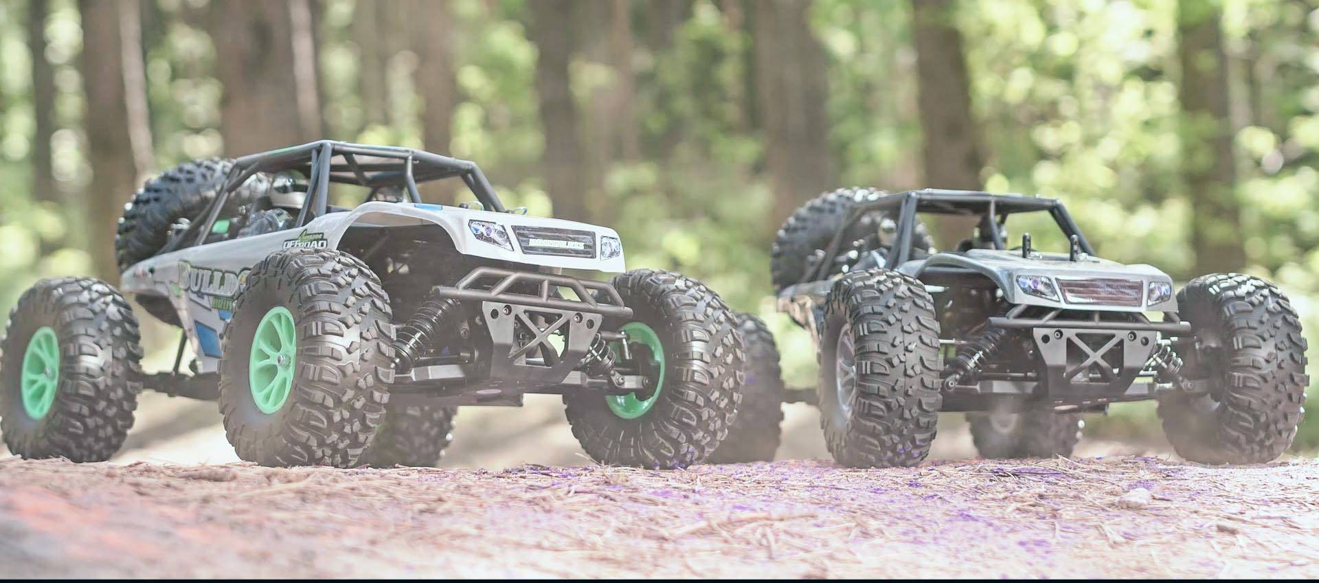 Reely Bulldog Brushed 1:10 RC Modellauto Elektro Buggy Allradantrieb (4WD) RtR 2,4GHz