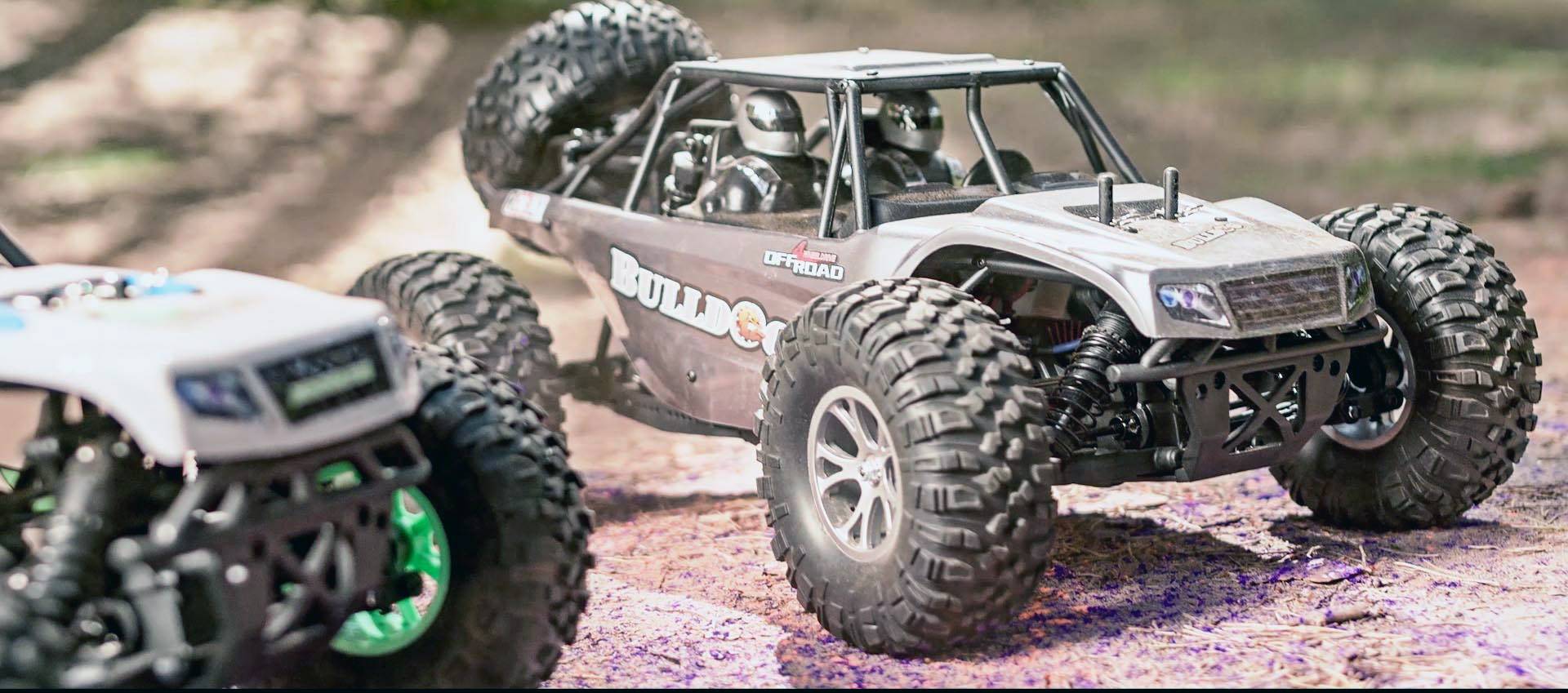 Reely Bulldog Brushed 1:10 RC Modellauto Elektro Buggy Allradantrieb (4WD) RtR 2,4GHz