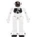 Franzis Verlag 65348 Humanoide Roboter einfach programmieren Lernpaket ab 8 Jahre