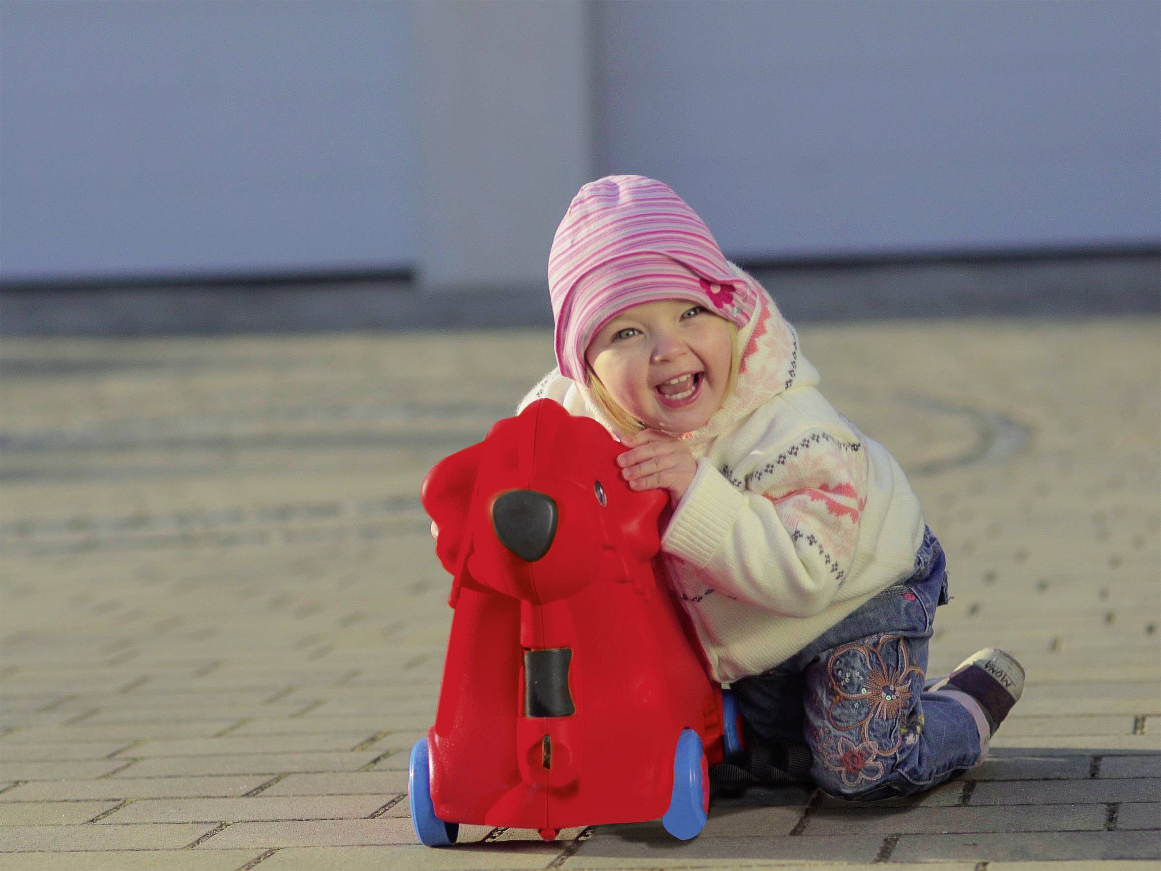 BIG-Bobby-Trolley Rot