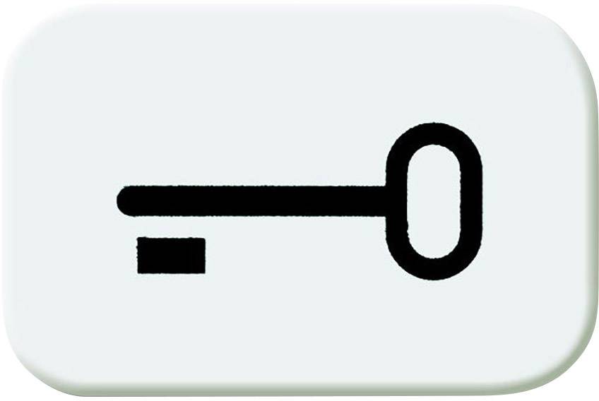 Busch-Jaeger Abdeckung Tastersymbol "Schlüssel" Busch-balance SI Alpinweiß 2525 TR-214