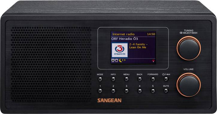 WFR-30 Internet Tischradio DAB+, UKW AUX, DLNA, Internetradio Spotify Schwarz