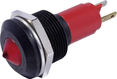 LED-Signalleuchte Grün 24 V/DC, 24 V/AC 19721355