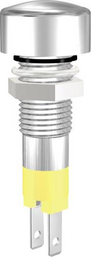 Signal Construct SMLD 08114 LED-Signalleuchte Gelb 24 V/DC 180 mcd