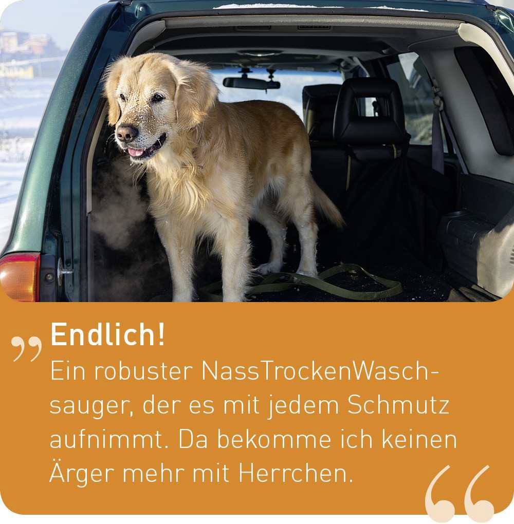 Ein Hund steht im Kofferraum eines Autos, umgeben von Winterlandschaft. Text sagt: 'Endlich! Ein robuster Nass-/Trockensauger, der es mit jedem Schmutz aufnimmt. Da bekomme ich keinen Ärger mehr mit Herrchen.'
