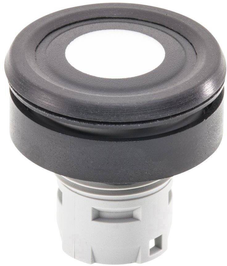 Schlegel RRJFTSW RRJFTSW Folientaster beschriftbar Schwarz 1 St.