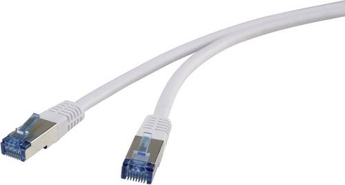 Renkforce RF-4737370 RJ45 Patchkabel CAT 6a S/FTP 3.00 m Grau hochflexibel, vergoldete Steckkontakt