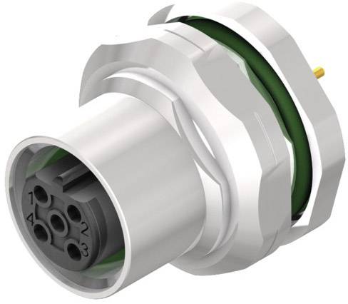 Eine silberne runde Steckverbindung mit mehreren Steckplätzen und einem grünen Dichtungsring, von einem Elektrogerät.