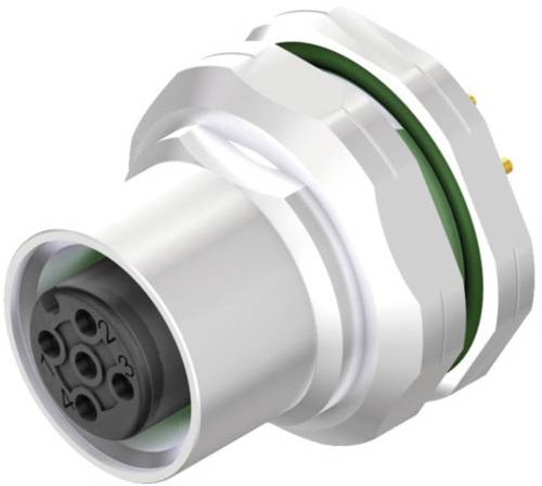 Weidmüller 2421920000 Sensor-/Aktor-Einbausteckverbinder M12 Buchse, Einbau vertikal Polzahl Sensor