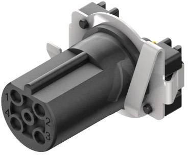 Weidmüller 2422960000 Sensor-/Aktor-Einbausteckverbinder M12 Stecker, Einbau vertikal Polzahl Sensoren: 4 25St.