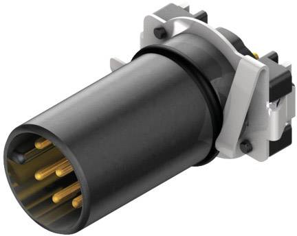Weidmüller 2423500000 Sensor-/Aktor-Einbausteckverbinder M12 Stecker, Einbau vertikal Polzahl Sensoren: 4 25St.