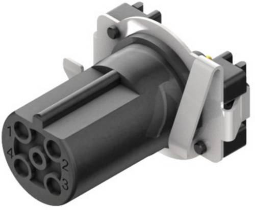Weidmüller 2422240000 Sensor-/Aktor-Einbausteckverbinder M12 Buchse, Einbau vertikal Polzahl Sensor