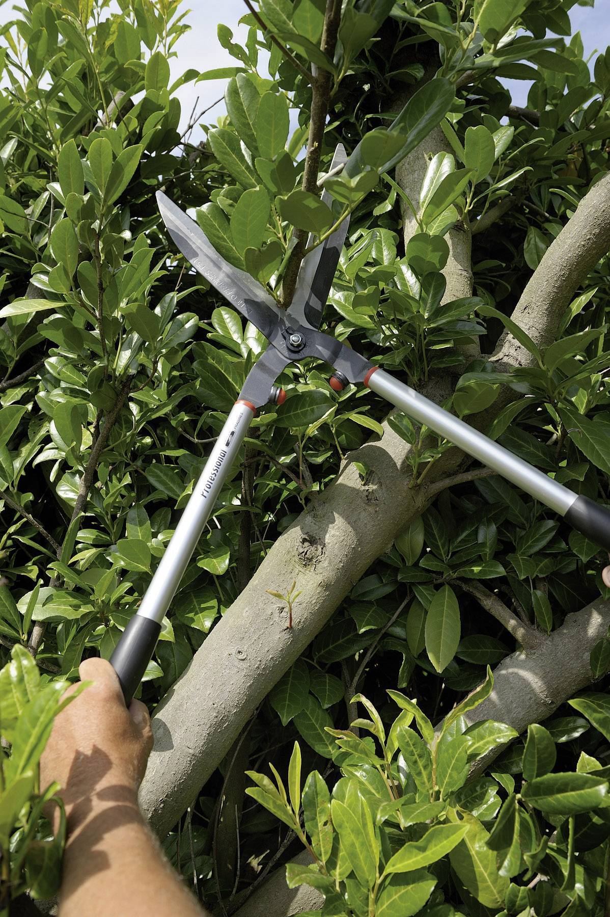 Bahco P51H-SL Hand Heckenschere