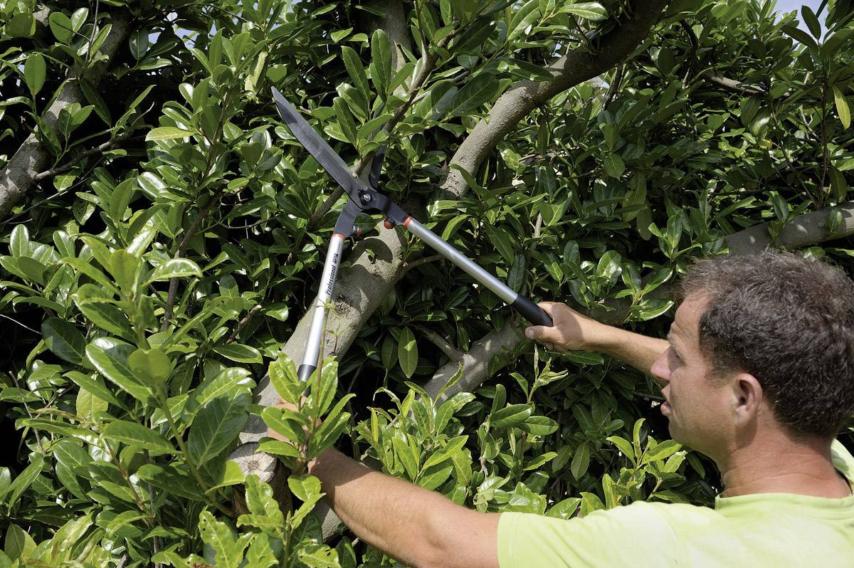 Bahco P51H-SL Hand Heckenschere