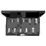 Gedore Steckschlüssel-Bit-Einsatz-Set 3/8" (10 mm) 10teilig 1509918