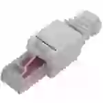 TRU Components RJ45 Stecker, Cat 6 Stecker, gerade Polzahl Sensoren 8 Grau 1St. TRU Components RJ45 Stecker, Cat 6 Stecker, gerade Polzahl Sensoren 8 Grau 1St.