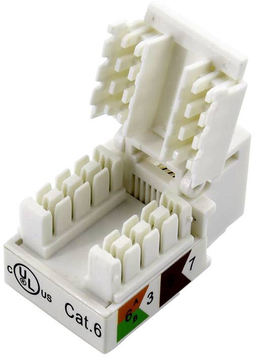 TRU Components RJ45 Kupplung, CAT 6 93038C373 Kupplung, gerade Polzahl Sensoren 8 Weiß