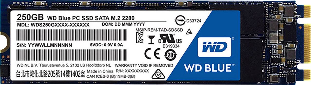 WD Blue™ 250 GB Interne M.2 SATA SSD 2280 M.2 Retail WDS250G1B0B