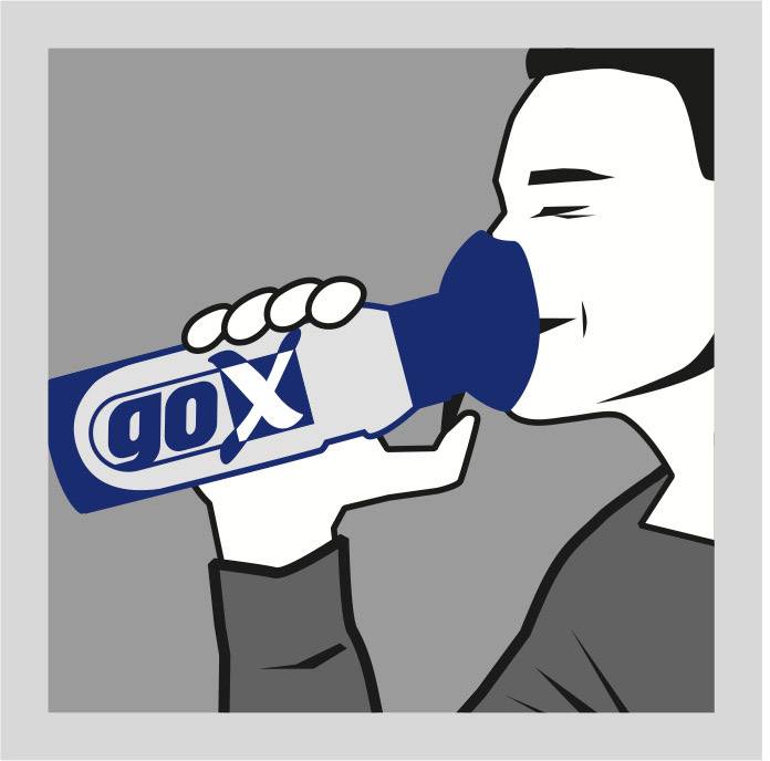 goX Sauerstoff 6 l, 6er Pack Inhalator mit Inhalationsmaske