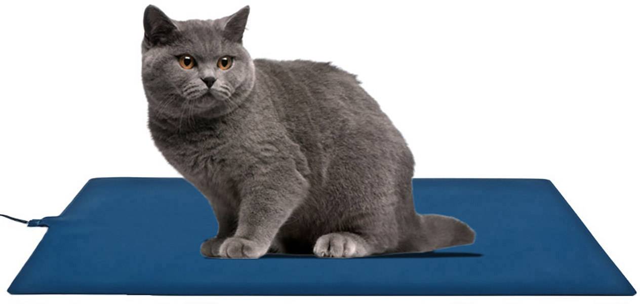 AccuLux Mat4Pet 464365 Heizmatte (L x B) 500mm x 300mm Blau