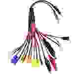 VOLTCRAFT Ladekabel [1x EC5-Stecker, Tamiya-Stecker, XT90-Stecker, XT60-Stecker, Mini Tamiya-Stecke