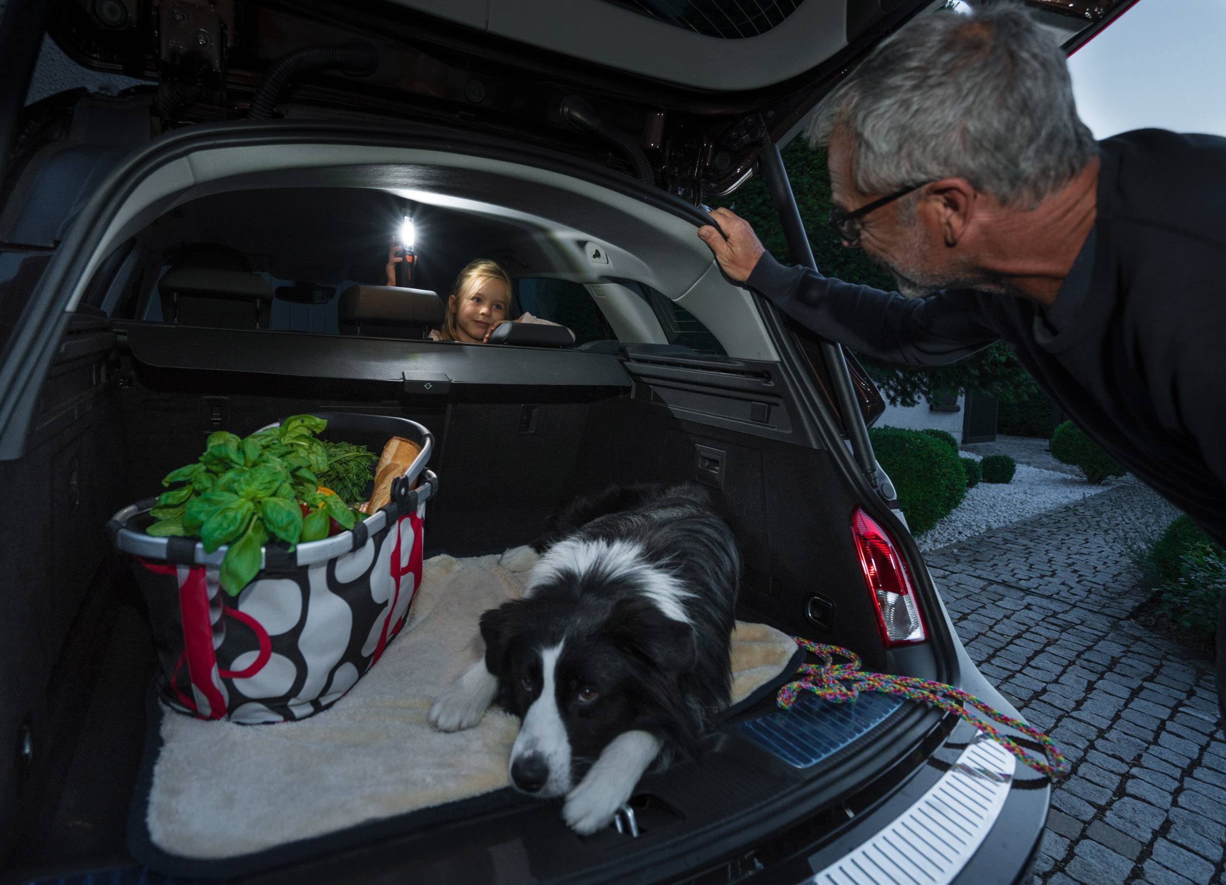 Osram Auto LEDIL207 LEDinspect PROFESSIONAL 150 LED Arbeitsleuchte akkubetrieben 3W