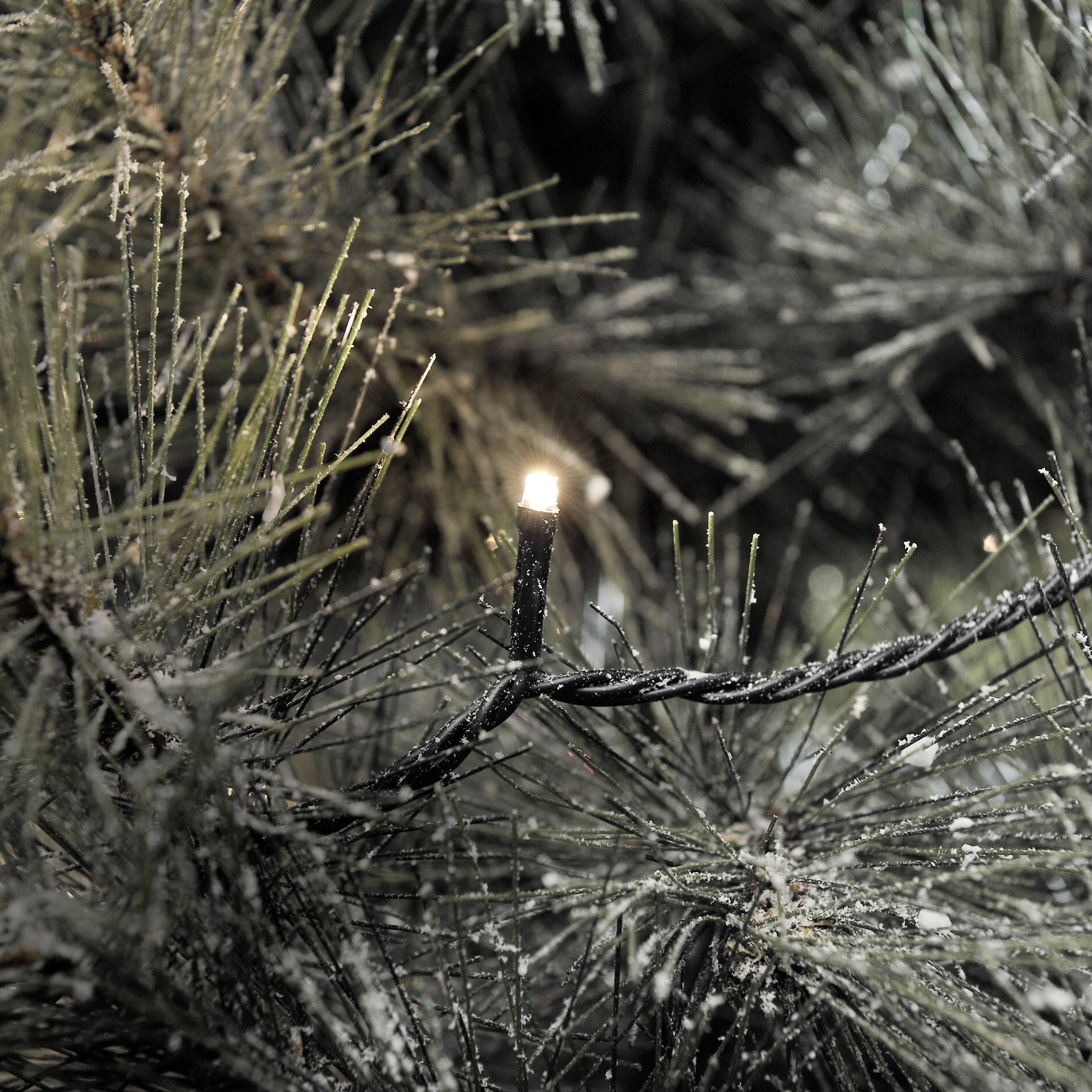 Konstsmide 3645-110 Micro-Lichterkette EEK: F (A - G) Anzahl Leuchtmittel 500 LED Warmweiß Beleuchtete Länge: 34.93 m