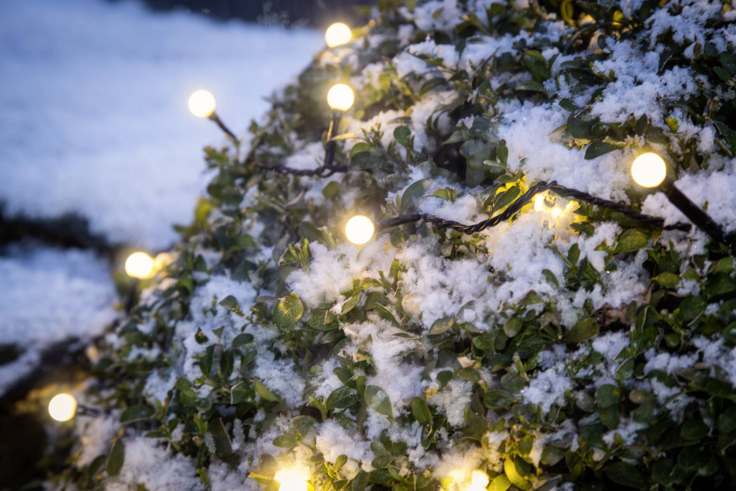 Konstsmide 3695-107 Motiv-Lichterkette Innen/Außen EEK: F (A - G) netzbetrieben Anzahl Leuchtmittel