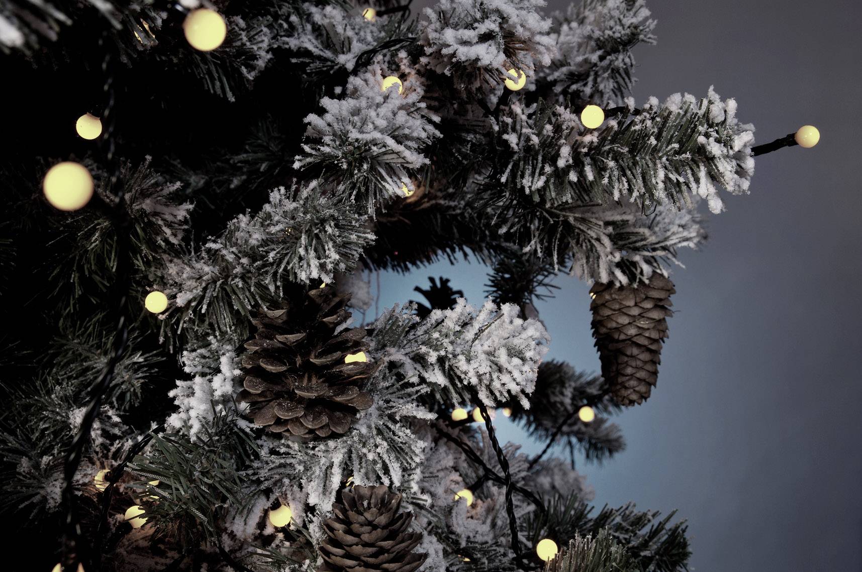 Konstsmide 3695-107 Motiv-Lichterkette Innen/Außen EEK: F (A - G) netzbetrieben Anzahl Leuchtmittel 80 LED Warmweiß Beleuchtet