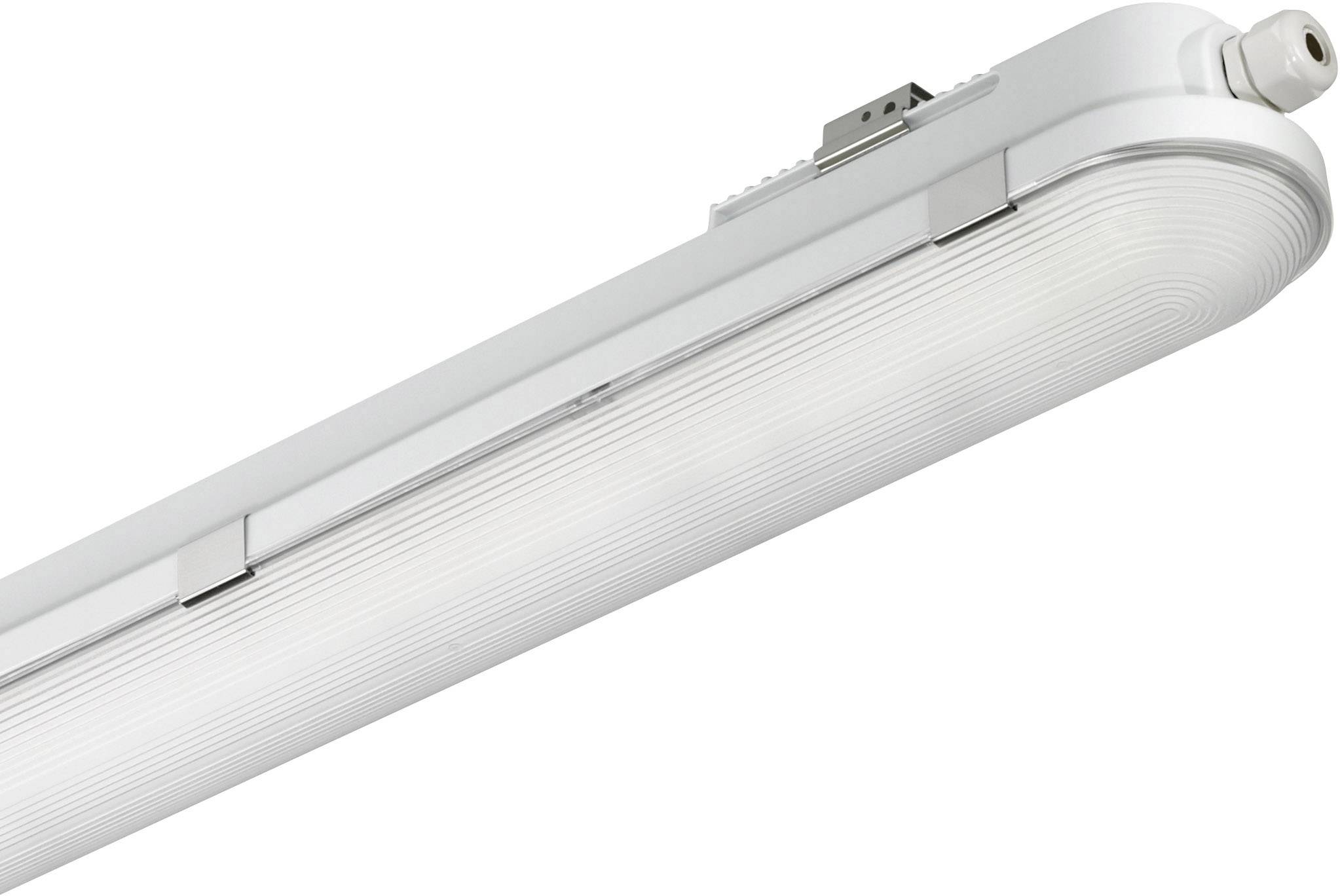 Philips LED CoreLine WT120C LED-Feuchtraumleuchte LED LED fest eingebaut 41 W Neutralweiß Grau