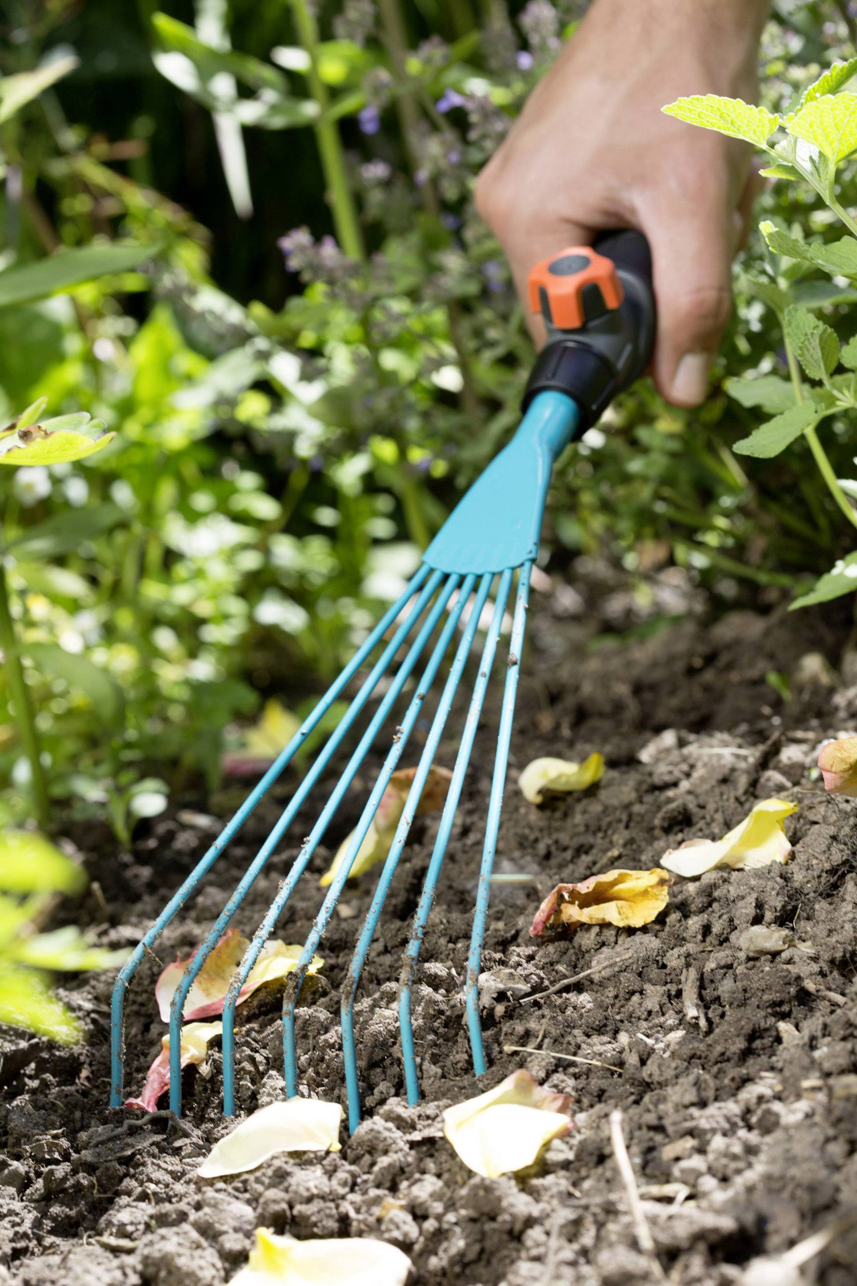 Eine Person harkt mit einem blauen Handrechen Erde in einem Garten. Einige Blätter liegen auf dem Boden.