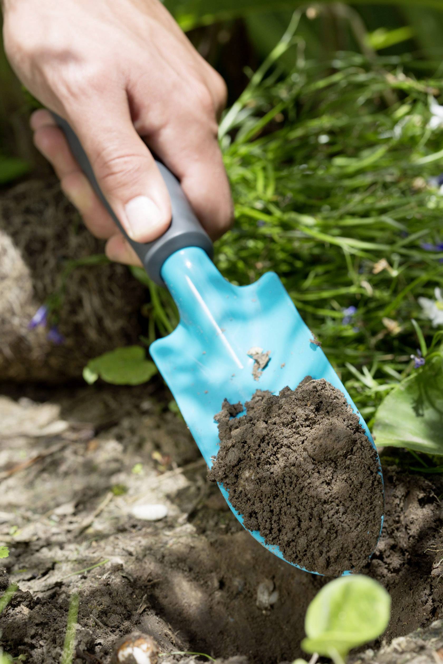 Hand hält kleine Schaufel mit Erde, während sie in einem Gartenboden gräbt. Im Hintergrund sind Pflanzen zu sehen.