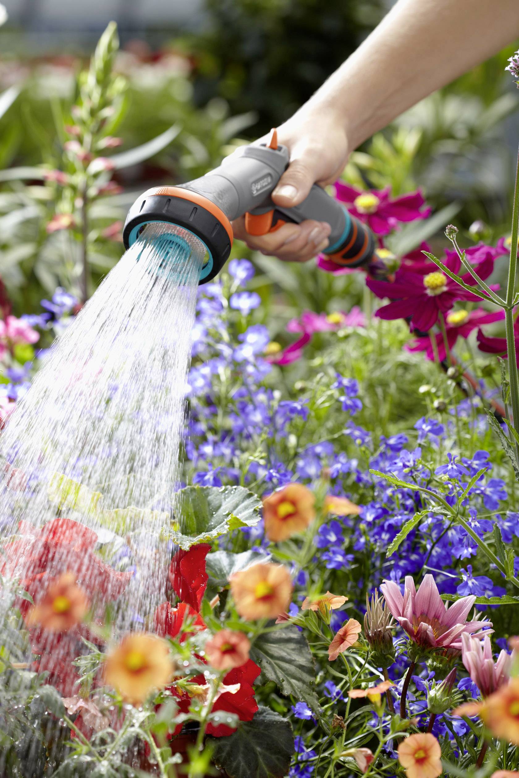Eine Hand hält einen Gartenschlauch und gießt bunte Blumen im Garten. Die Blumen sind rot, blau und rosa und blühen kräftig.