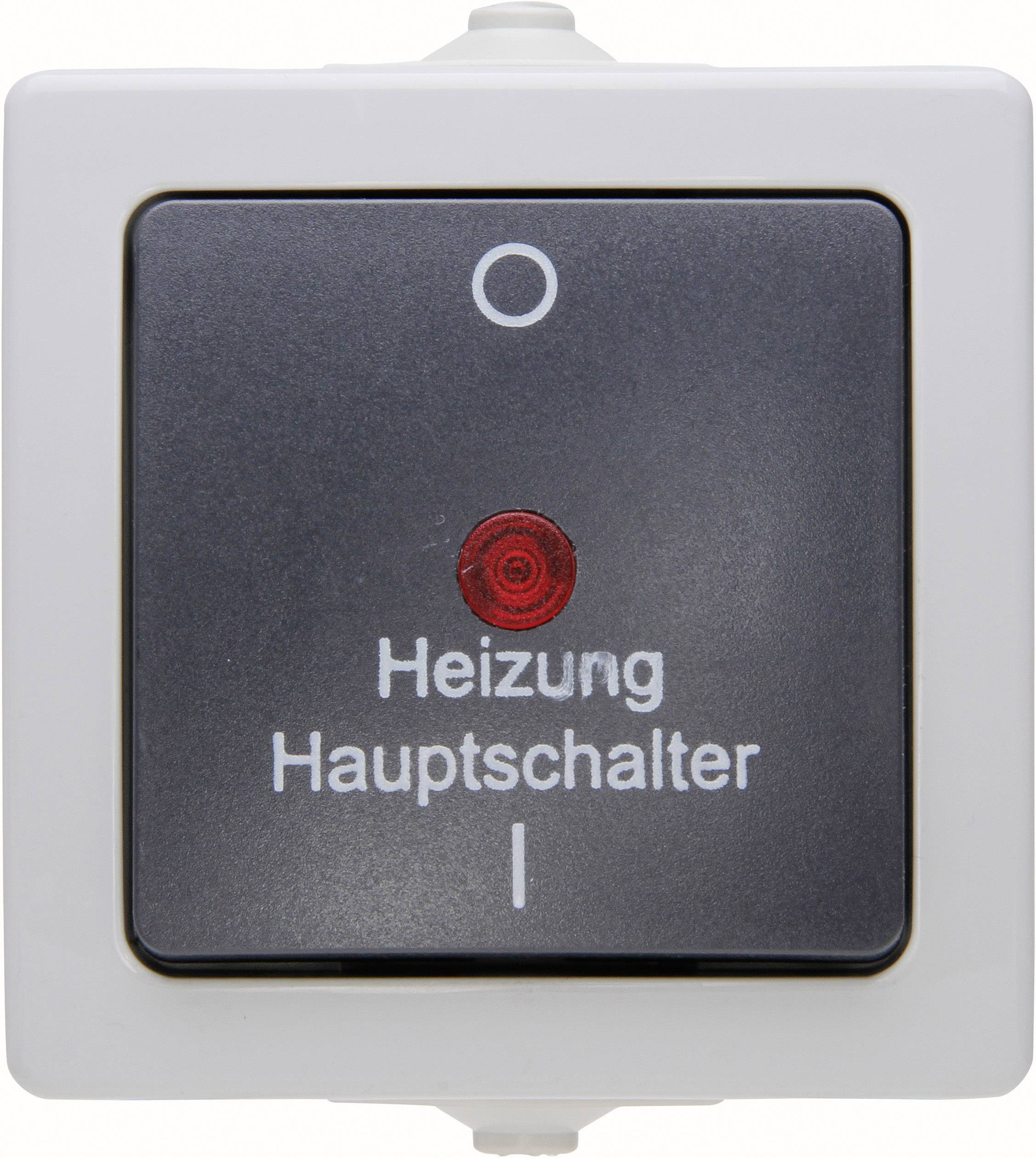 Kopp 565356002 Feuchtraum-Schalterprogramm Heizungs-Notschalter Nautic Grau 1St.