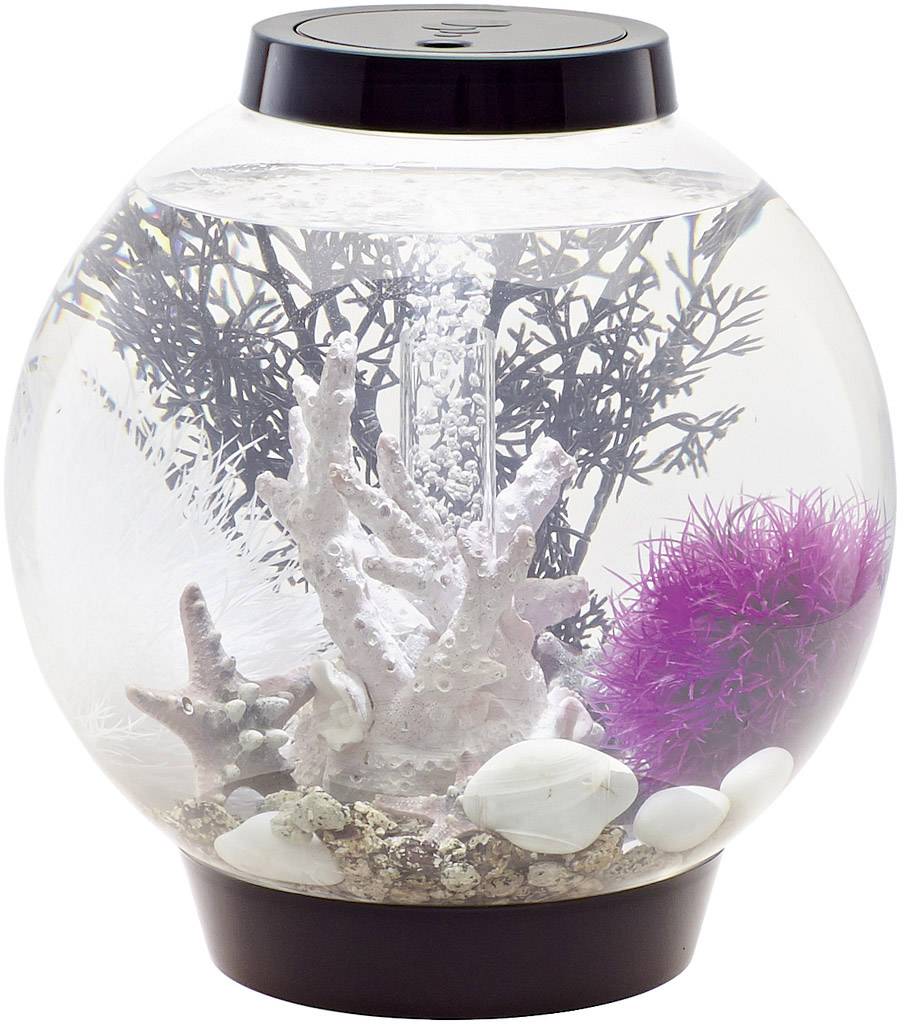 Oase 71999 biOrb CLASSIC 15 LED schwarz Aquarium 15l mit LED-Beleuchtung