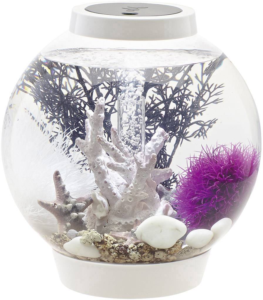 Oase 72001 biOrb CLASSIC 15 LED weiß Aquarium 15l mit LED-Beleuchtung