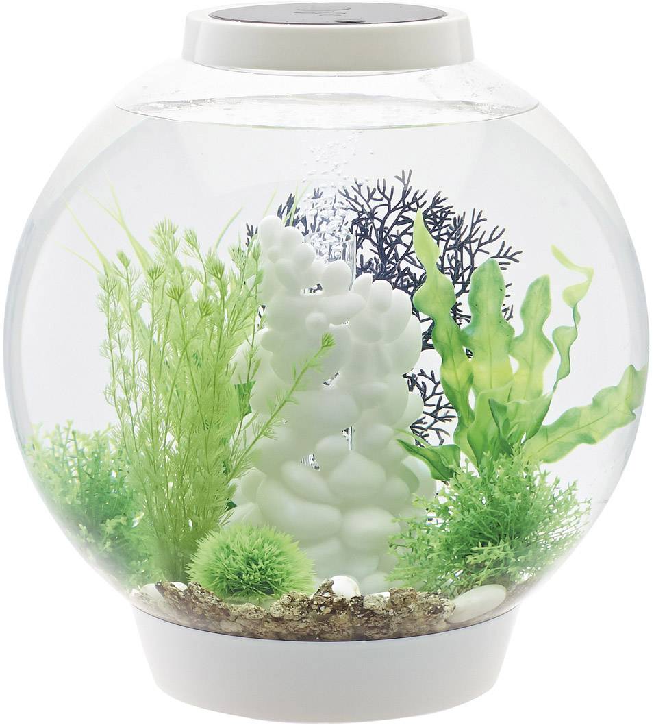 Oase 72007 biOrb CLASSIC 30 LED weiß Aquarium 30l mit LED-Beleuchtung