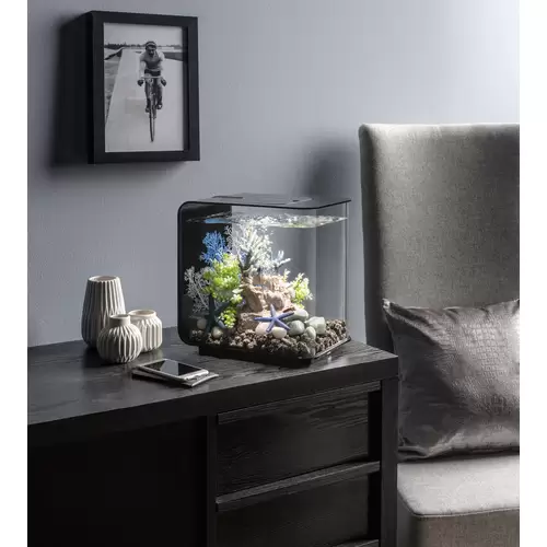 Oase 72029 biOrb FLOW 15 LED schwarz Aquarium 15l mit LED-Beleuchtung Oase 72029 biOrb FLOW 15 LED schwarz Aquarium 15l mit LED-Beleuchtung