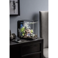 Oase 72029 biOrb FLOW 15 LED schwarz Aquarium 15l mit LED-Beleuchtung Oase 72029 biOrb FLOW 15 LED schwarz Aquarium 15l mit LED-Beleuchtung