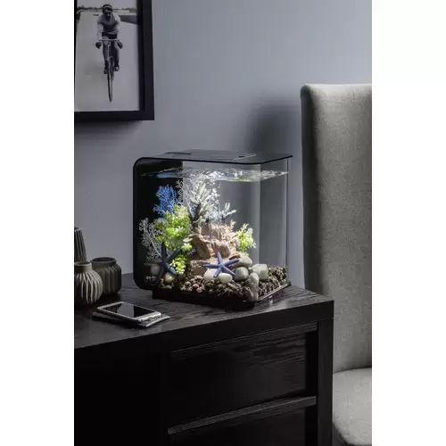 Oase 72029 biOrb FLOW 15 LED schwarz Aquarium 15l mit LED-Beleuchtung Oase 72029 biOrb FLOW 15 LED schwarz Aquarium 15l mit LED-Beleuchtung