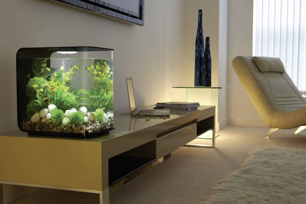 Oase 72029 biOrb FLOW 15 LED schwarz Aquarium 15l mit LED-Beleuchtung