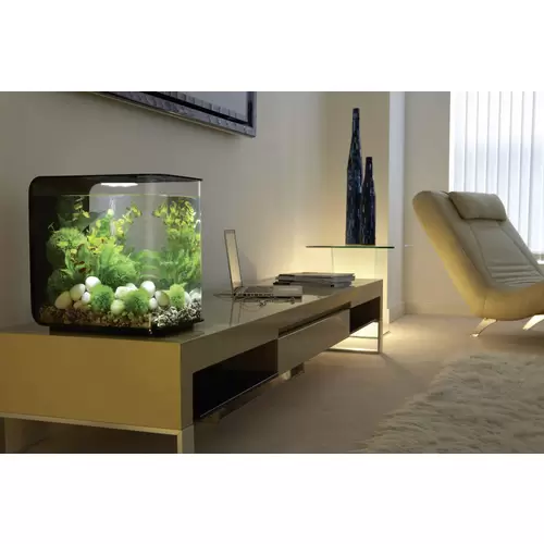 Oase 72029 biOrb FLOW 15 LED schwarz Aquarium 15l mit LED-Beleuchtung Oase 72029 biOrb FLOW 15 LED schwarz Aquarium 15l mit LED-Beleuchtung